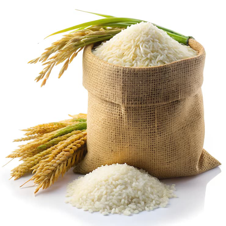 Rice