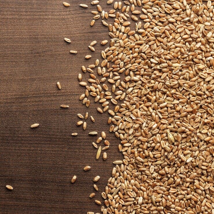 Wheat