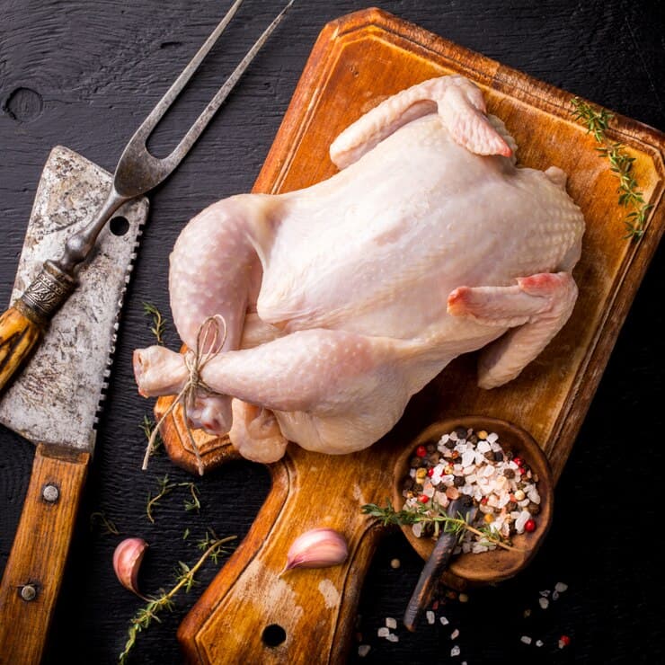 Poultry Chicken